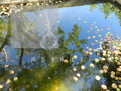 国企审核过去3年有逾期记录 国企审核过去3年有逾期记录