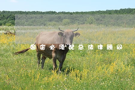国企必须配总法律顾问 国企必须配总法律顾问
