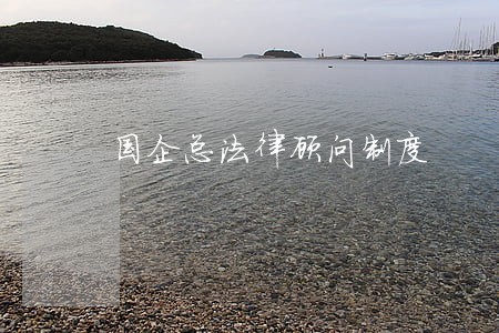 国企总法律顾问制度 国企总法律顾问制度