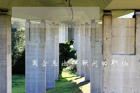 国企总法律顾问的职位 国企总法律顾问的职位