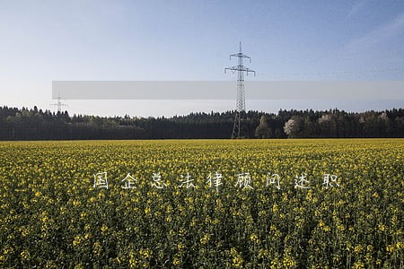 国企总法律顾问述职 国企总法律顾问述职