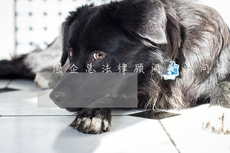 国企总法律顾问面试问题 国企总法律顾问面试问题