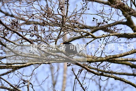 国企法务可以挂律师证吗 国企法务可以挂律师证吗