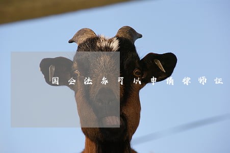 国企法务可以申请律师证吗