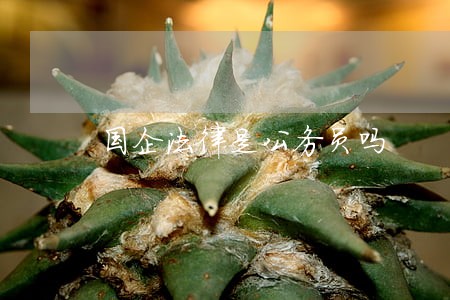 国企法律是公务员吗