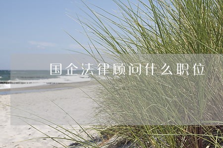 国企法律顾问什么职位 国企法律顾问什么职位