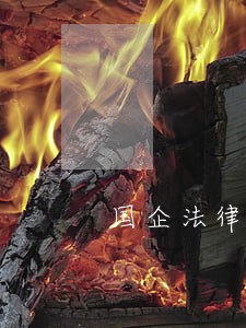 国企法律顾问制度 国企法律顾问制度