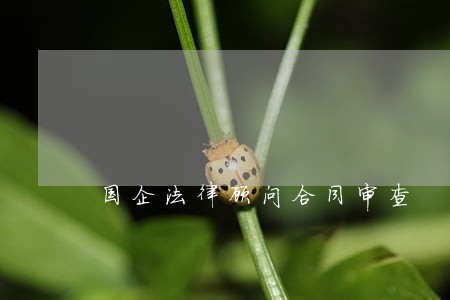 国企法律顾问合同审查 国企法律顾问合同审查