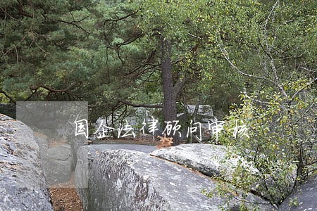 国企法律顾问审核