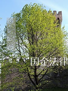 国企法律顾问笔试