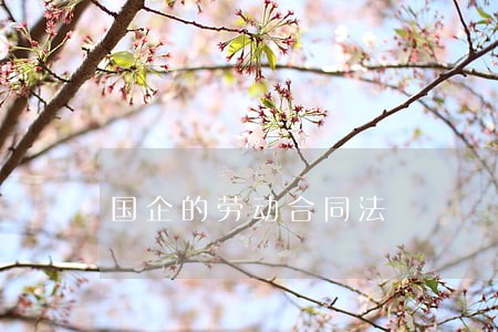 国企的劳动合同法 国企的劳动合同法