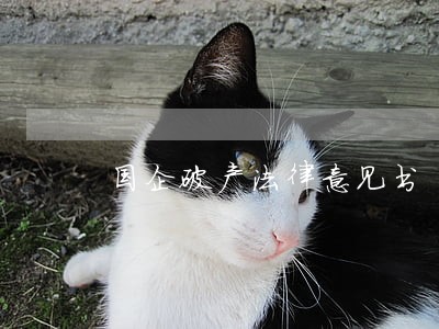 国企破产法律意见书