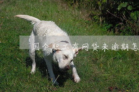 国企职工有网贷未逾期怎么处理