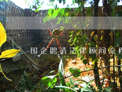 国企聘请法律顾问流程 国企聘请法律顾问流程