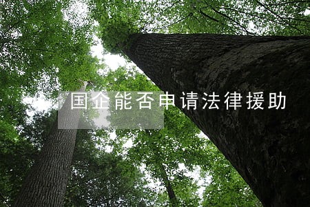 国企能否申请法律援助 国企能否申请法律援助