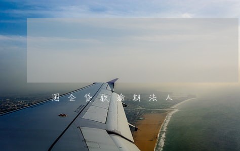 国企贷款逾期法人 国企贷款逾期法人