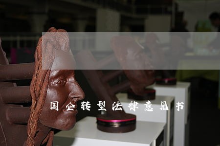 国企转型法律意见书 国企转型法律意见书