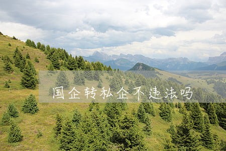国企转私企不违法吗