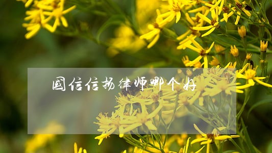 国信信扬律师哪个好 国信信扬律师哪个好