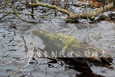 国内专利代理公司排名 国内专利代理公司排名
