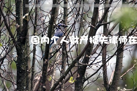 国内个人财产损失律师在哪 国内个人财产损失律师在哪