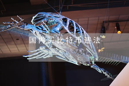 国内买比特币违法 国内买比特币违法