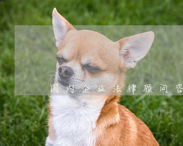 国内企业法律顾问咨询 国内企业法律顾问咨询