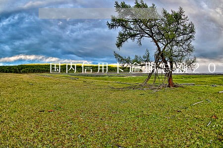 国内信用卡逾期总额2020