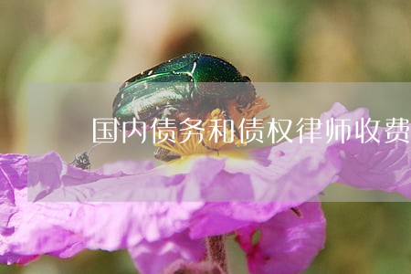 国内债务和债权律师收费标准 国内债务和债权律师收费标准