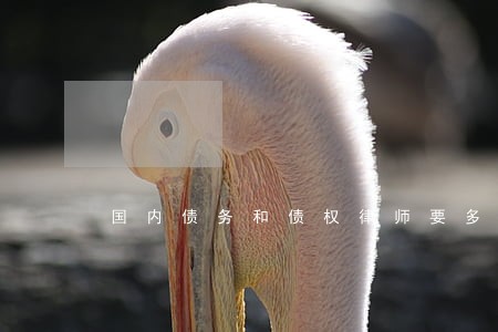 国内债务和债权律师要多少钱 国内债务和债权律师要多少钱