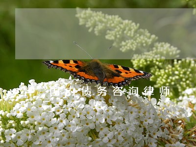国内债务咨询律师 国内债务咨询律师