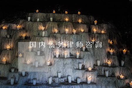 国内债务律师咨询