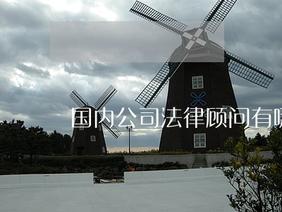 国内公司法律顾问有哪些