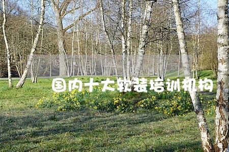 国内十大软装培训机构 国内十大软装培训机构