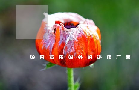 国内发布国外的违法广告 国内发布国外的违法广告