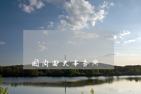 国内四大事务所 国内四大事务所