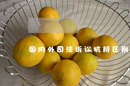 国内外司法诉讼抗辩区别