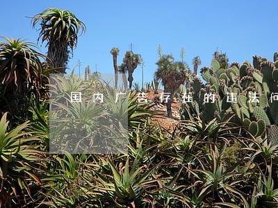 国内广告存在的违法问题 国内广告存在的违法问题