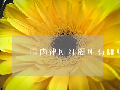 国内律所红圈所有哪些 国内律所红圈所有哪些