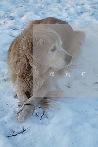 国内打击高利贷违法的现状