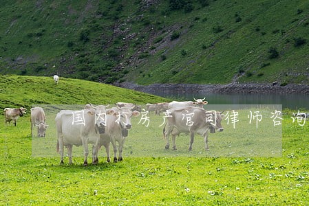 国内打房产官司律师咨询