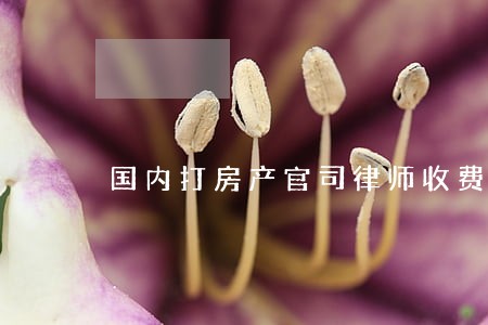 国内打房产官司律师收费 国内打房产官司律师收费