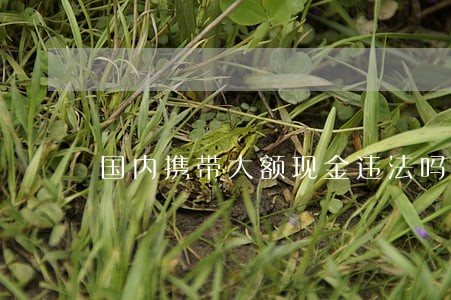 国内携带大额现金违法吗 国内携带大额现金违法吗