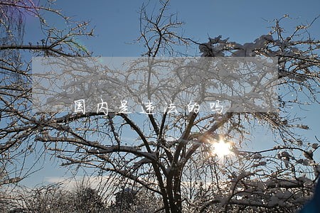 国内是违法的吗 国内是违法的吗