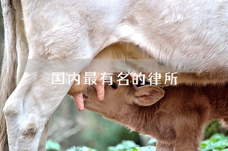 国内最有名的律所 国内最有名的律所