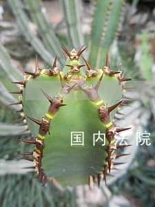 国内法院也卖主机游戏 国内法院也卖主机游戏