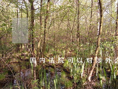 国内法院可以对涉外公司审判吗 国内法院可以对涉外公司审判吗