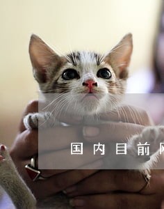 国内目前网贷信用卡逾期情况 国内目前网贷信用卡逾期情况
