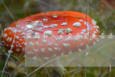 国内私人买卖乌金是否违法 国内私人买卖乌金是否违法