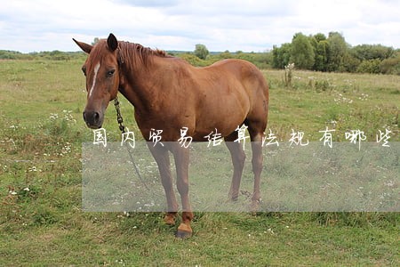 国内贸易结算法规有哪些